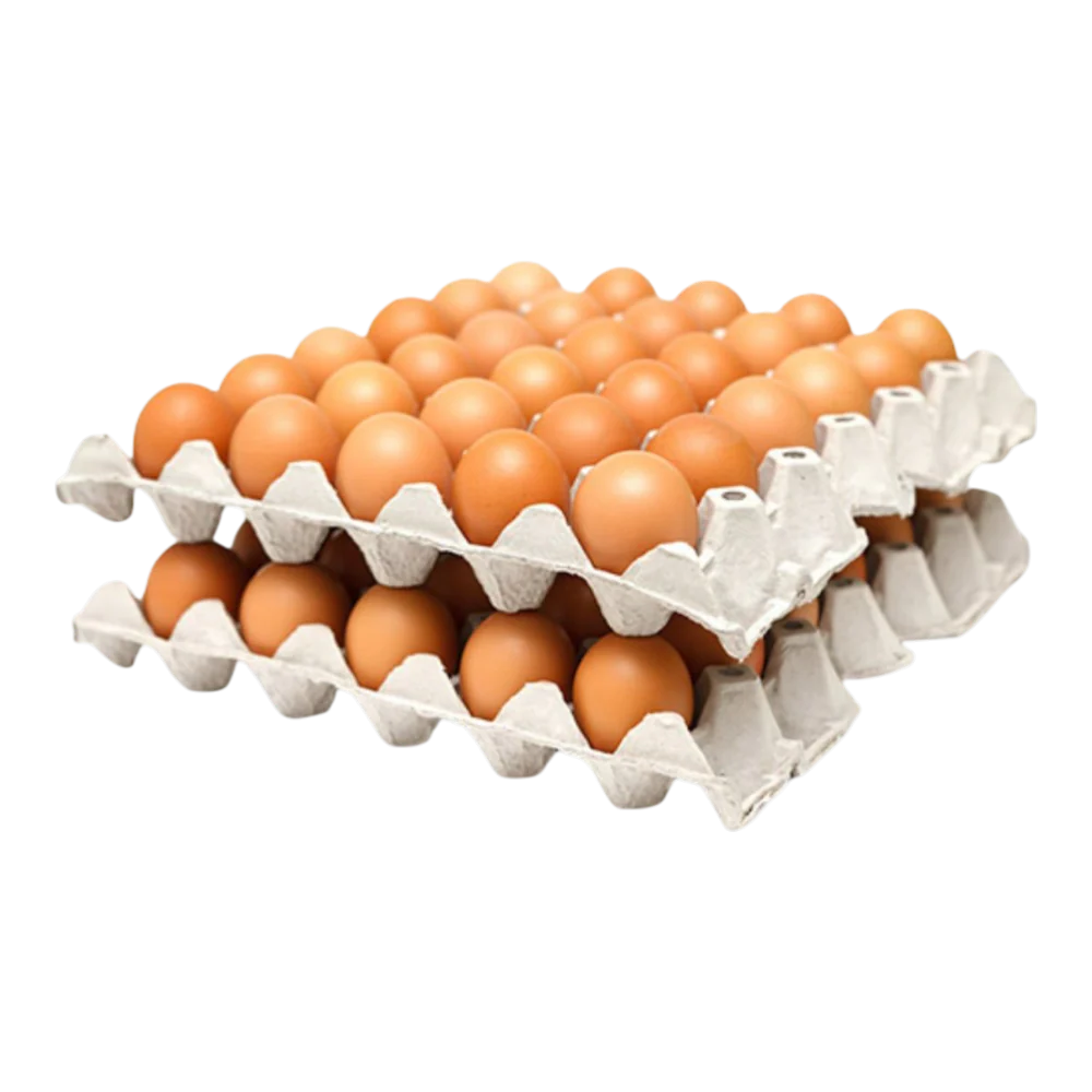 Fresh Eggs ( Medium )